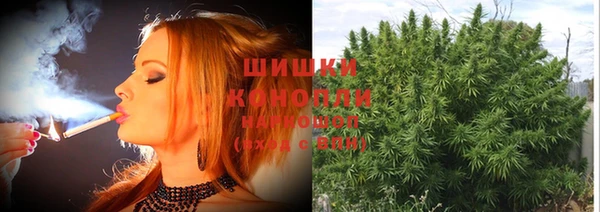 ГАЛЛЮЦИНОГЕННЫЕ ГРИБЫ Алзамай
