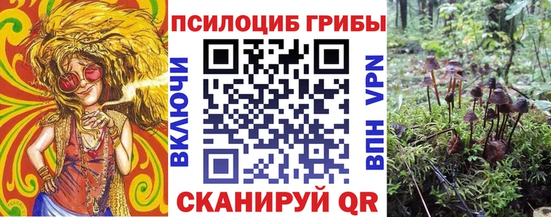 Псилоцибиновые грибы мухоморы Купить где Суоярви
